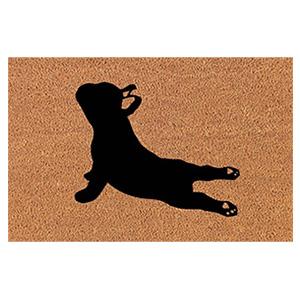 Animal Welcome Coir Entrance Doormat 